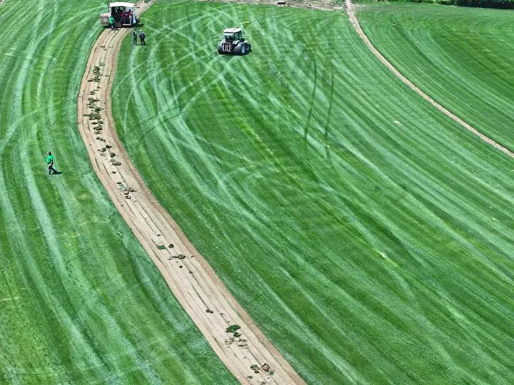 Kumdere Köyünden Dünya Piyasında Rulo Çim Liderliğine Giden Yol
