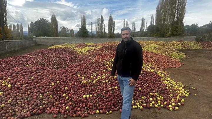 Kuraklık, Elma Üretimini ve Kalitesini Olumsuz Etkiliyor 3 Kuraklık, Elma Üretimini ve Kalitesini Olumsuz Etkiliyor