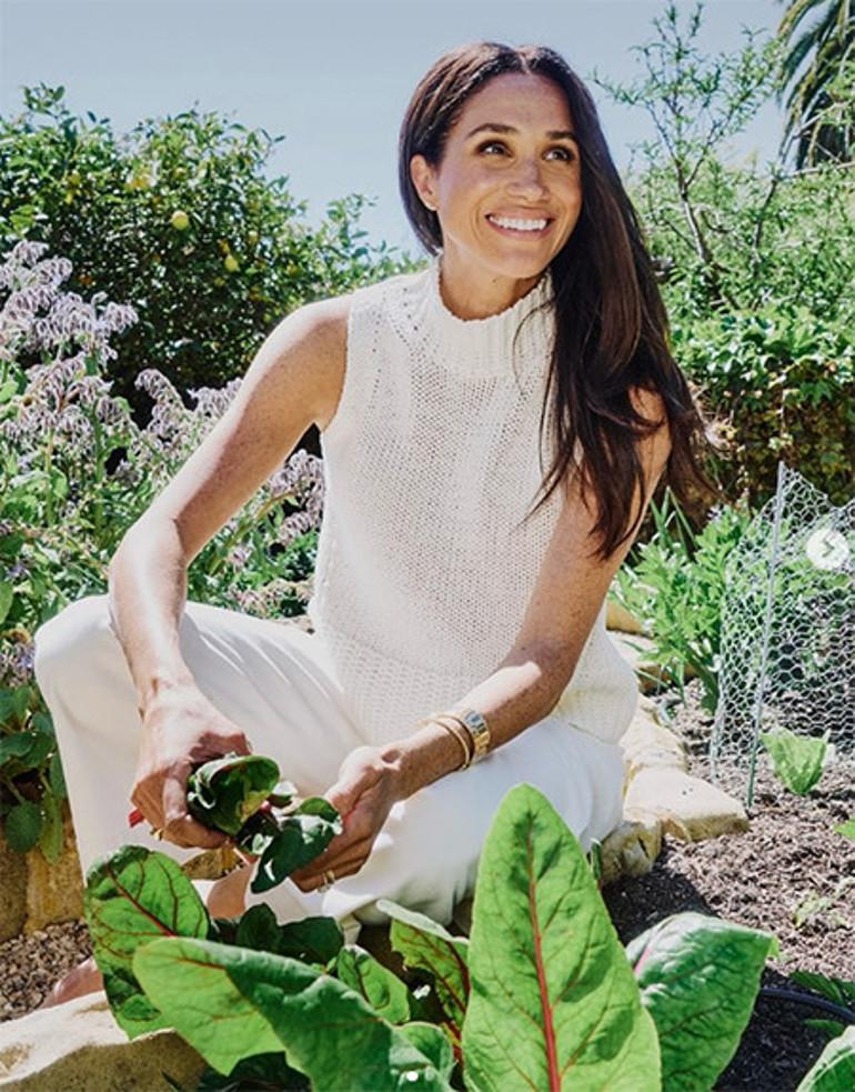 Meghan Markle'ın Kraliyet Yolculuğu ve Kamuoyu İlişkileri