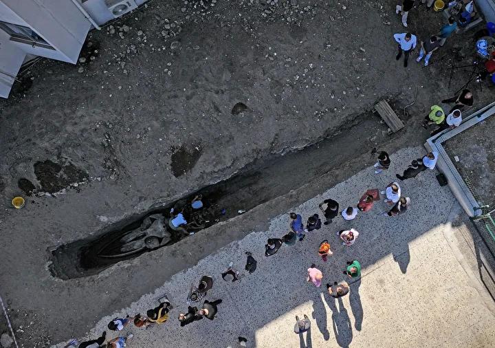Mersin'de 14 Metrelik Fin Balinası İskeleti Gün Işığına Çıkartılıyor