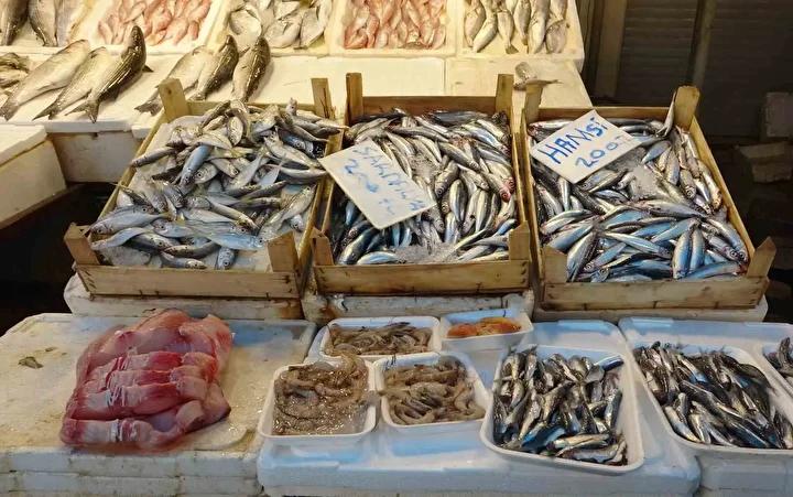Sezonun En Uygun Zamanları ve Fiyatlar