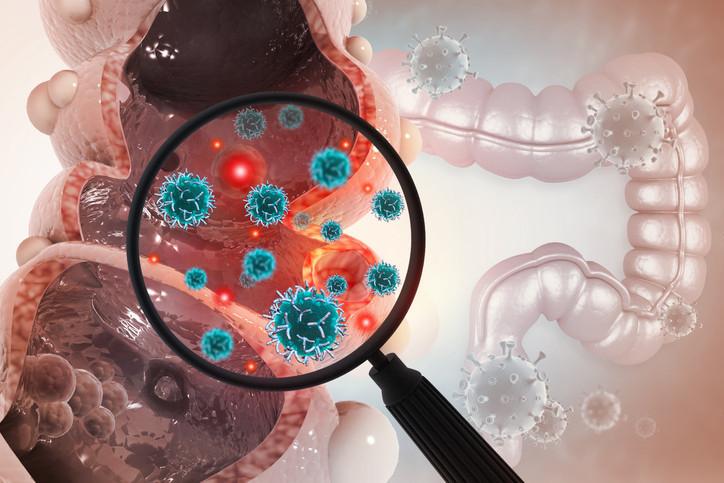 Mikroplastiklerin Tanımı ve Kaynakları
