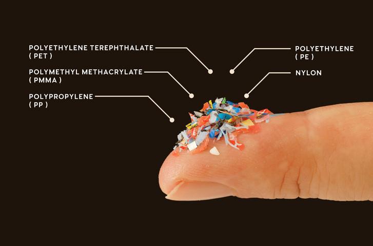 Mikroplastiklerin İnsan Bağırsak Sağlığı Üzerindeki Kısıtlı Ama Potansiyel Etkileri