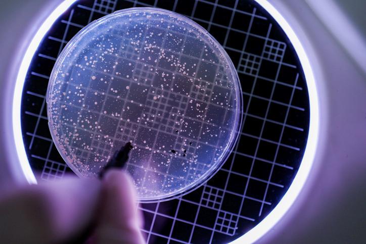 Mikroplastiklerin İnsan Bağırsak Sağlığı Üzerindeki Kısıtlı Ama Potansiyel Etkileri