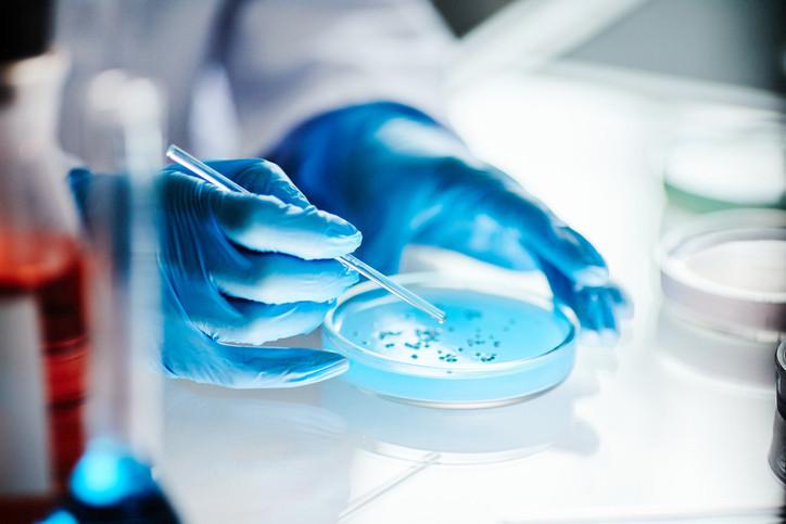 Mikroplastiklerin İnsan Bağırsak Sağlığı Üzerindeki Kısıtlı Ama Potansiyel Etkileri