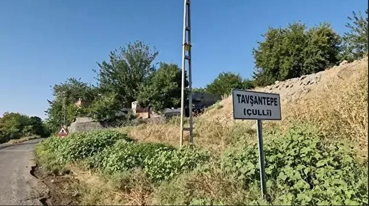 Narin Güran Olayında Adli Süreç ve Detaylar