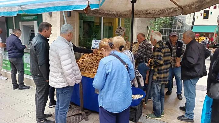 Ordu'nun Yöresel Lezzeti Tirmit Mantarının Güncel Durumu ve Faydaları