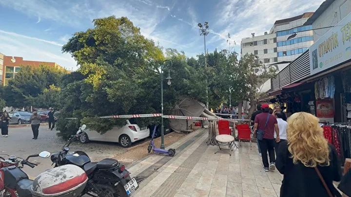 Belediye ve Araç Sahipleri Birlikte Çalışıyor