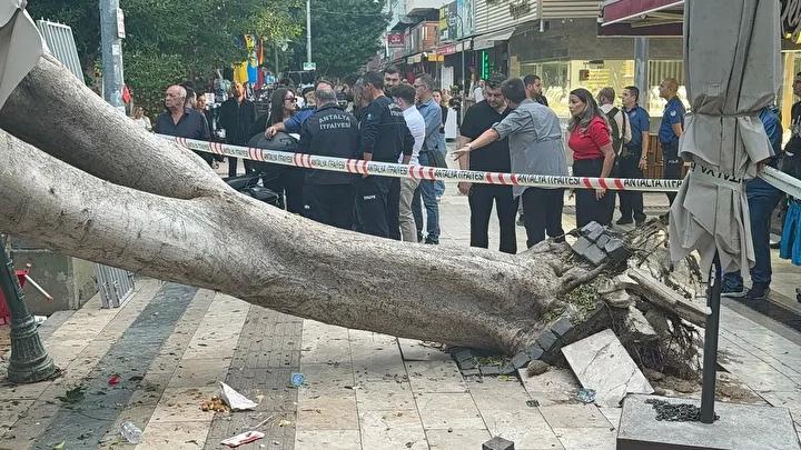 Belediye ve Araç Sahipleri Birlikte Çalışıyor