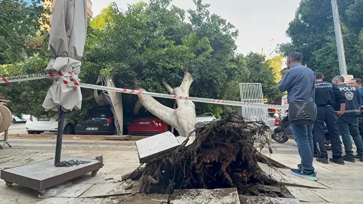 Belediye ve Araç Sahipleri Birlikte Çalışıyor