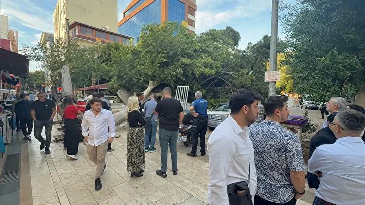 Otoyol Otoparkında Dev Ağaç Trafik Kazasıyla Zarara Yol Açtı