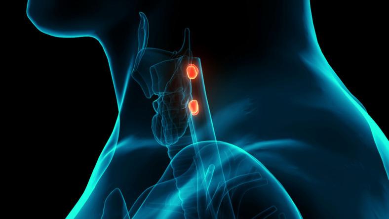 Paratiroid Adenomu: Gizli Bir Tehlike ve Erken Tanı Yöntemleri