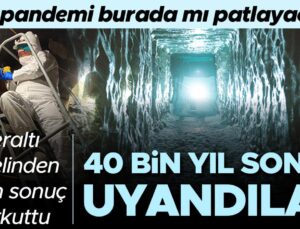 Permafrostyun Erimesi ve Geri Dönüşen Mikroorganizmalar: Yeni Tehditler mi?