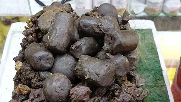 Propolis Toplama ve İşleme Süreci