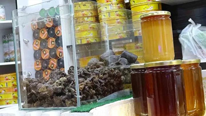 Propolis Toplama ve İşleme Süreci
