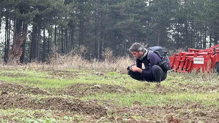 Safran Hasadı ve Festival Etkinlikleri Hakkında Detaylar