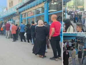 Şanlıurfa’da Cumhuriyet Bayramı’na Özel Balık Kampanyası İlgi Gördü