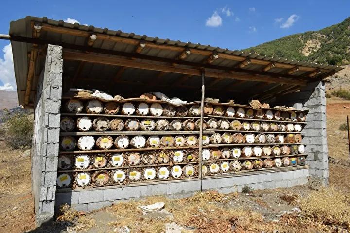 Sason'un Doğal ve Endemik Bal Üretimi Hikayesi