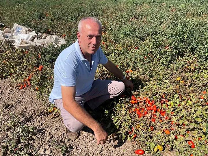 Yabancı Dil ve Uluslararası Deneyim