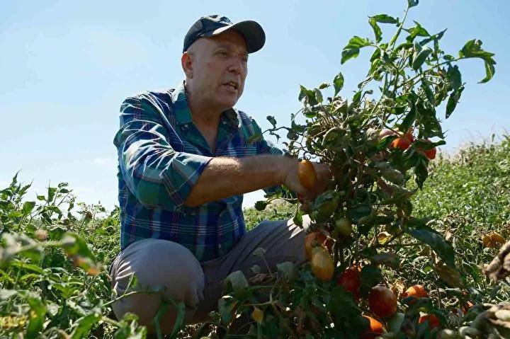 Tarımda Yatırımlar ve Büyük Ölçekli Üretim
