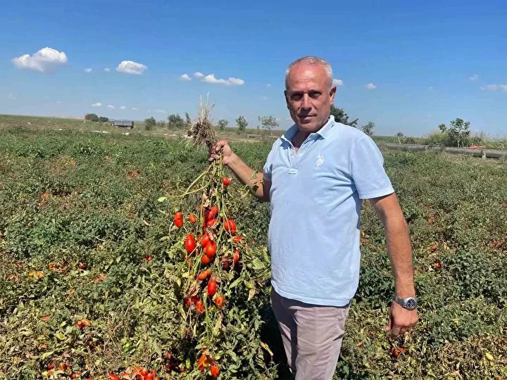 Tarımda Yatırımlar ve Büyük Ölçekli Üretim