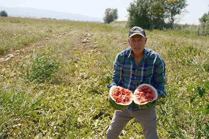 Tarımda Güncel Sorunlar ve Çözüm Önerileri