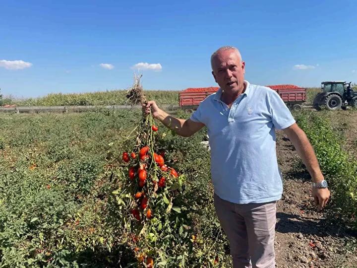 Seçim Gezegen'in Tarım ve Girişim Hikayesi: Londra'dan Türkiye'ye Uzanan Başarı Yolculuğu