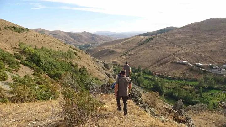 Sırataşlar Köyünde Yavru Ayı İçin Seferberlik