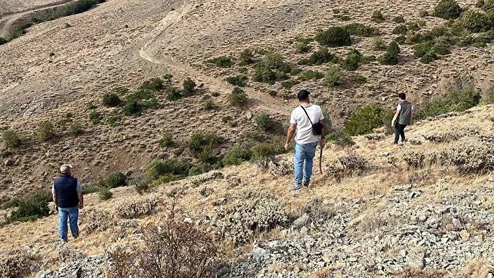 Sırataşlar Köyünde Yavru Ayı İçin Seferberlik