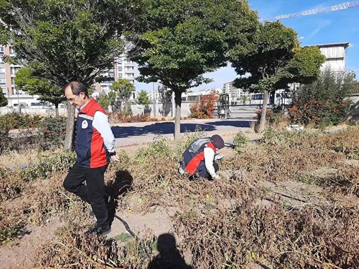 Zararlıya Karşı Alınan Önlemler