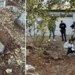 Siverek8217te Mezarlikta Cirkin Kesif Bebek Cesedi Topraga Gomuldu