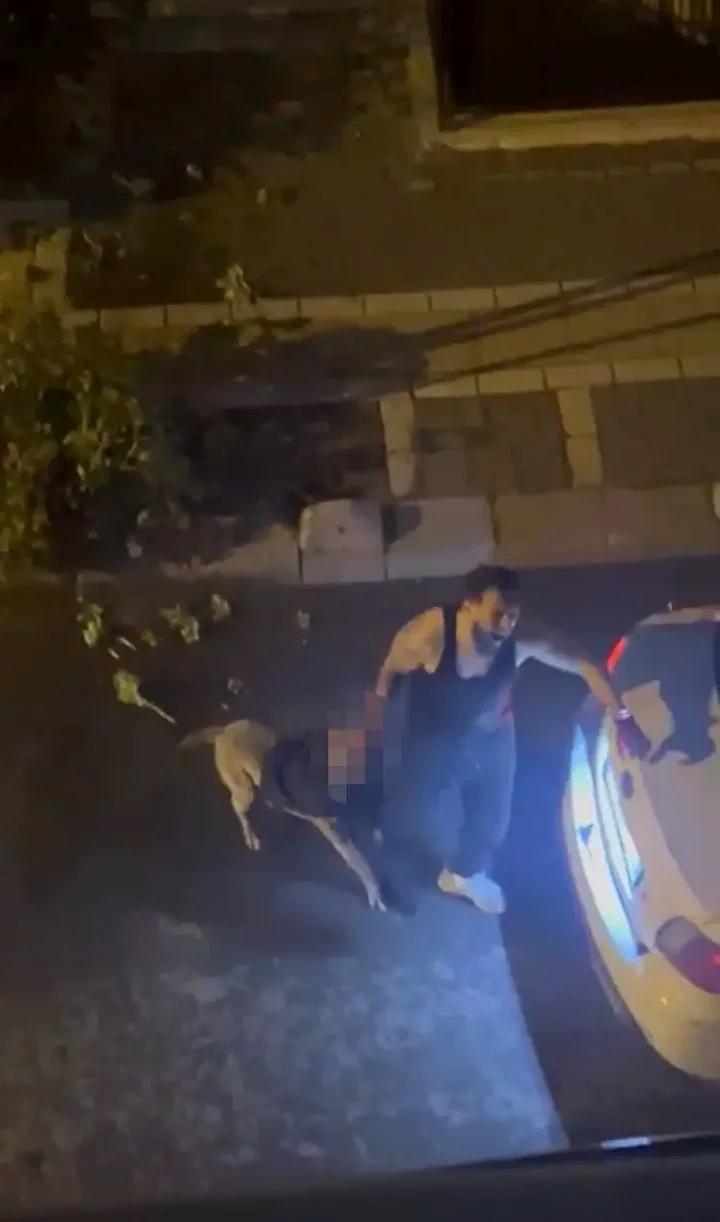 Siyavuşpaşa Mahallesinde Köpek Saldırısı Kamerada