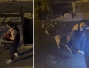 Siyavuşpaşa Mahallesinde Köpek Saldırısı Kamerada