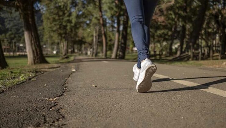 Slovakya’da Kaldırım Güvenliği İçin Yeni Hız Sınırı Düzenlemesi