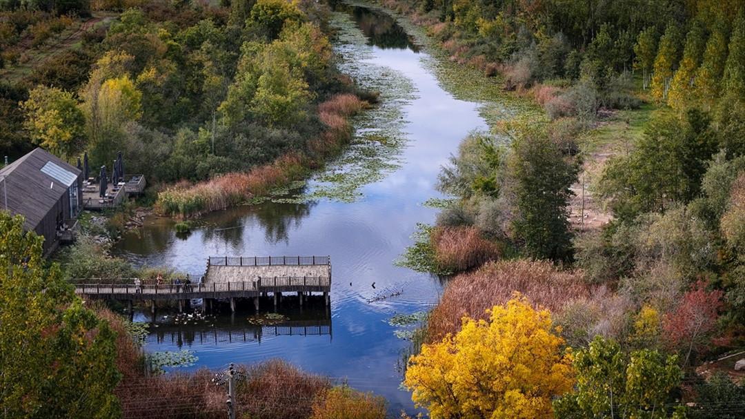 Renklerin Ahengi: Büyük Melen Çayı Havzasında Sonbahar