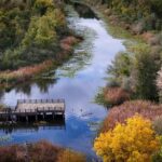 Sonbahar Renkleriyle Acarlar Longozu ve Buyuk Melen Cayi Kaynaginda Doga Manzaralari