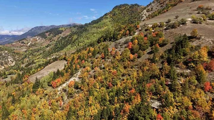 Ardanuç ve Bölgenin Eşsiz Güzellikleri