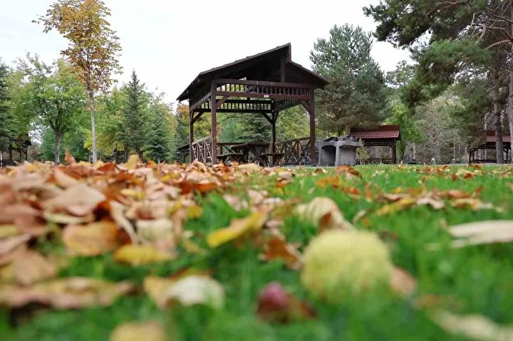 Sonbahar Renkleriyle Canlanan Paşabahçe Mesire Alanı