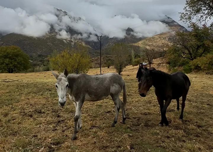 Sonbahar ve Kışın Buluştuğu Hakkari'nin Eşsiz Doğal Manzaraları