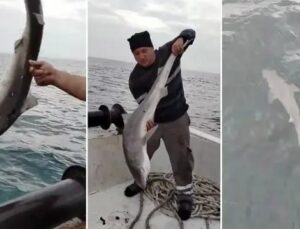 Tarlaağzı Limanı’nda Okyanus Gizemi: Balıkçılar Camgöz Balığıyla Karşılaştı