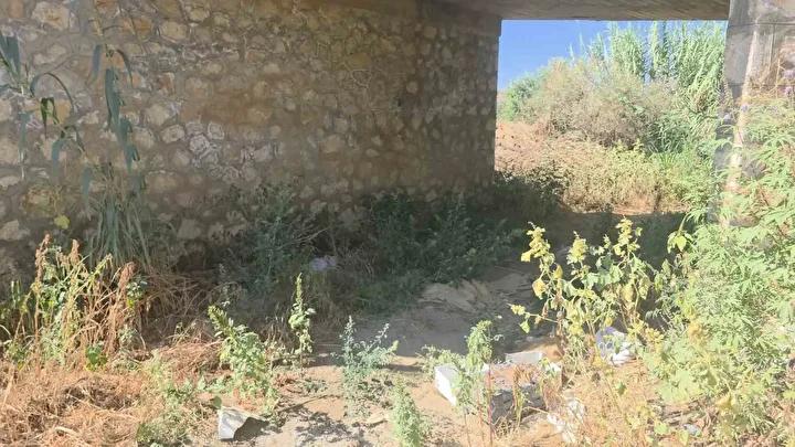 Tire'de Kırsal Alanda Dramatik Bebek Olayı ve Geçmiş Tesadüfler