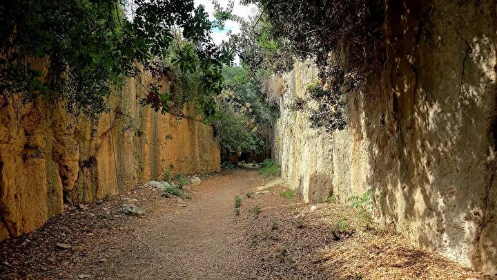 Titus Tüneli: Antik Şehrin Gizemli Mirası ve Tarihi Güzellikleri