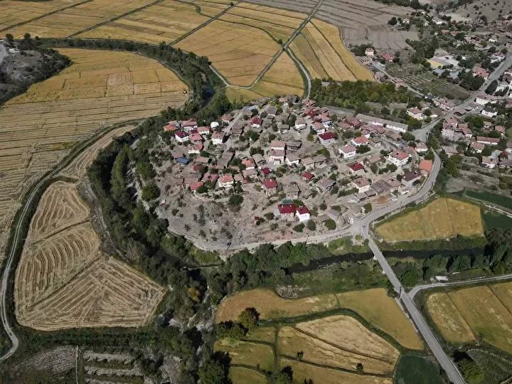 Tosya Çeltik Hasadı ve Üretimin Güncel Durumu
