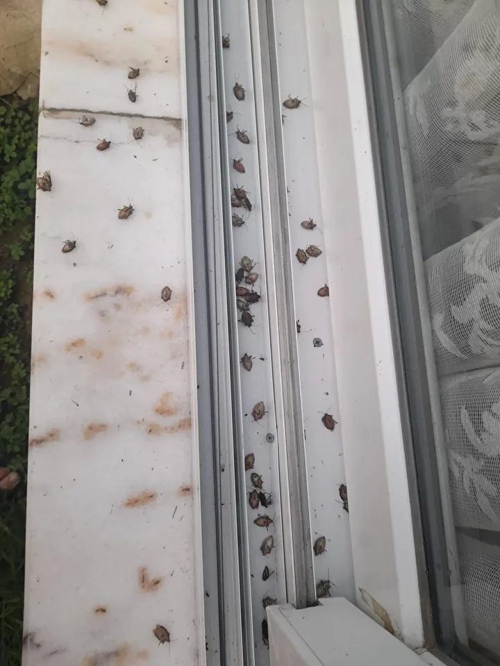 Vatandaşların Deneyimleri ve Görüşleri