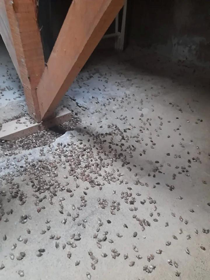 Vatandaşların Deneyimleri ve Görüşleri