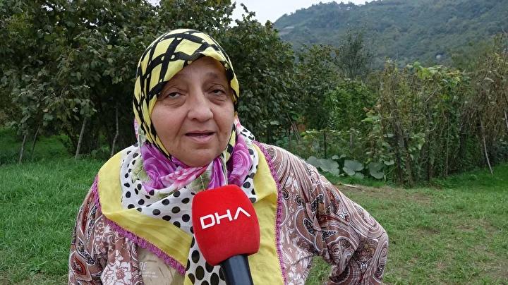 Trabzon'da Kahverengi Kokarca İstilasıyla Mücadelede Güncel Durum ve Çözüm Çabaları