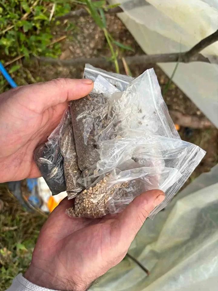 Trabzonlu Çiftçinin Ata Tohumuyla Yükselen Efsanesi ve Sürdürülebilir Tarım Mücadelesi