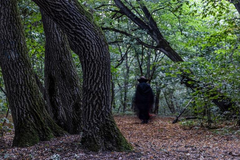 Transilvanya’nın Gizemli Hoia-Baciu Ormanı ve Paranormal Hikayeleri 3 Transilvanya’nın Efsaneleri ve Hoia-Baciu’nun Sırları