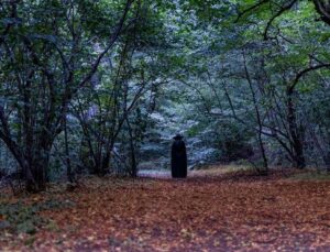 Transilvanya’nın Gizemli Hoia-Baciu Ormanı ve Paranormal Hikayeleri