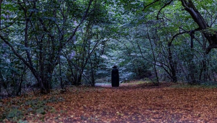 Transilvanya’nın Gizemli Hoia-Baciu Ormanı ve Paranormal Hikayeleri